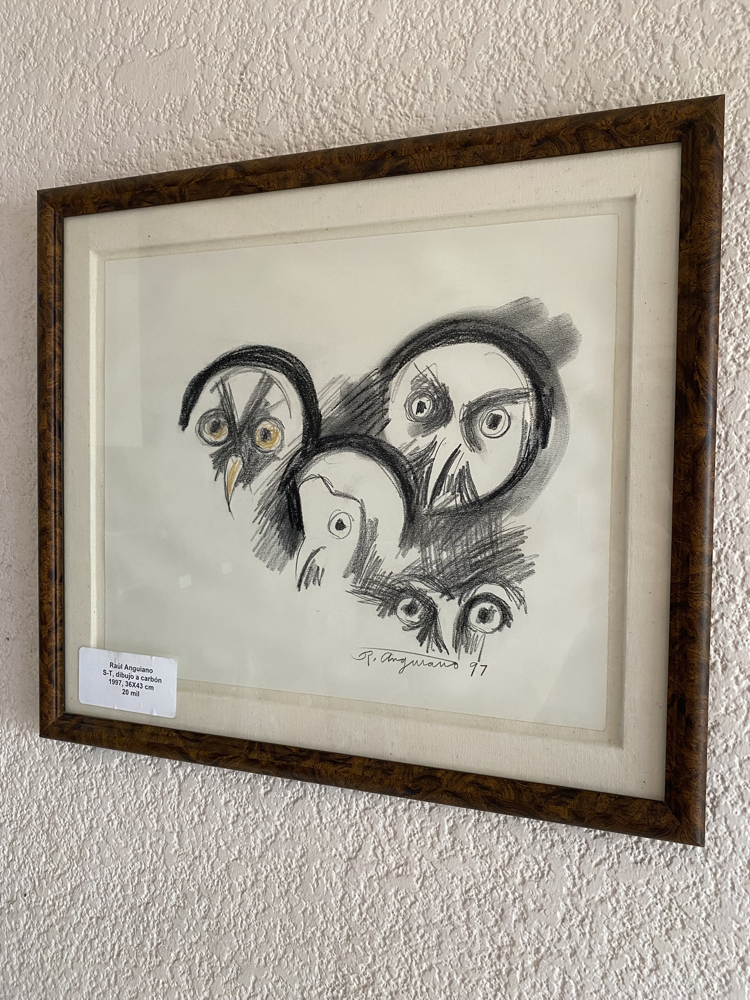 Sin título - Imagen 4