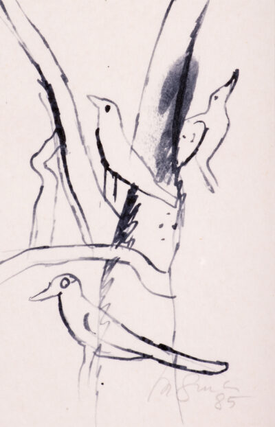 Aves 1985 - Imagen 2