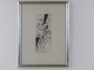 Aves 1985
